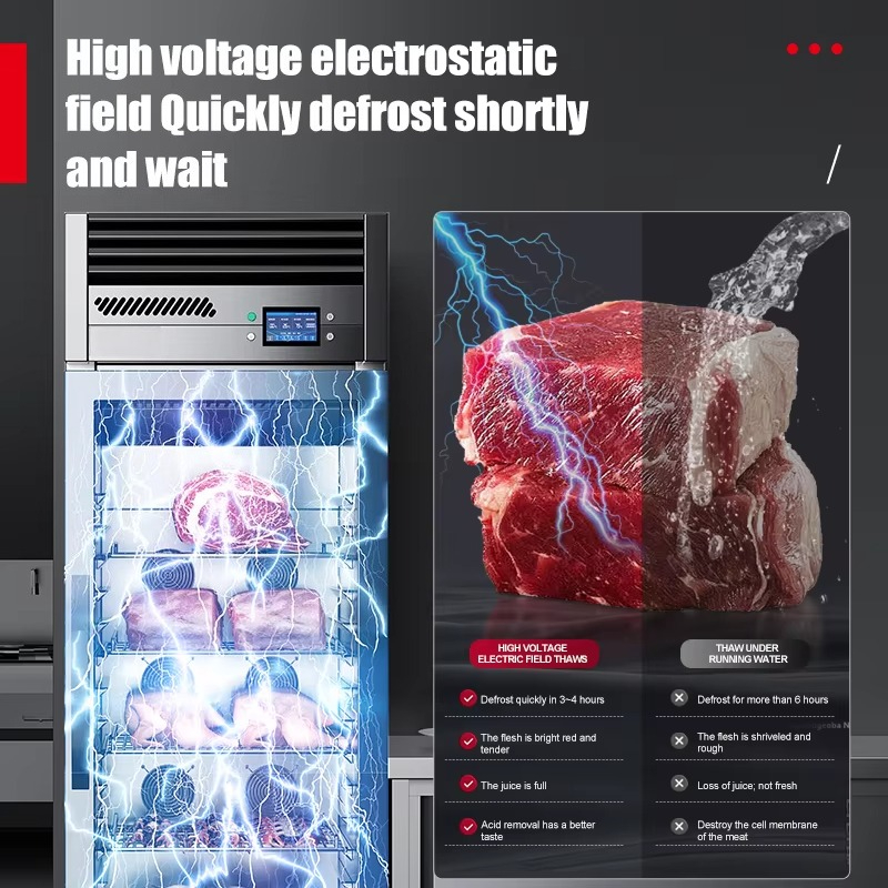Armoire de décongélation intel - Commercial Kitchen Cabinet avis et prix