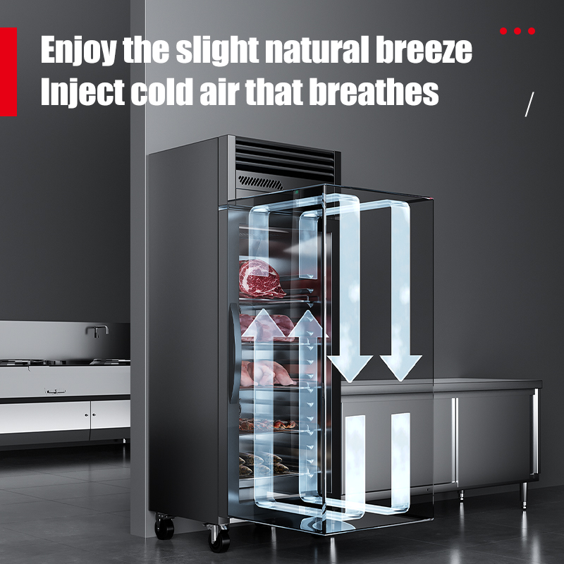 Armoire de décongélation intel - Commercial Kitchen Cabinet avis et prix